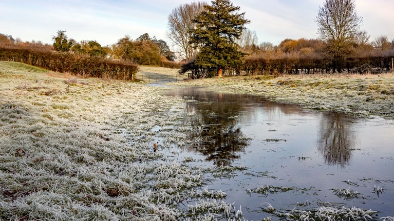Chalk stream with frosty grass